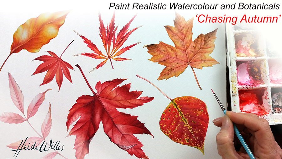 Heidi Willis_Botanical Art_Illustration_Realistic Watercolour_Tutorial_Leaves