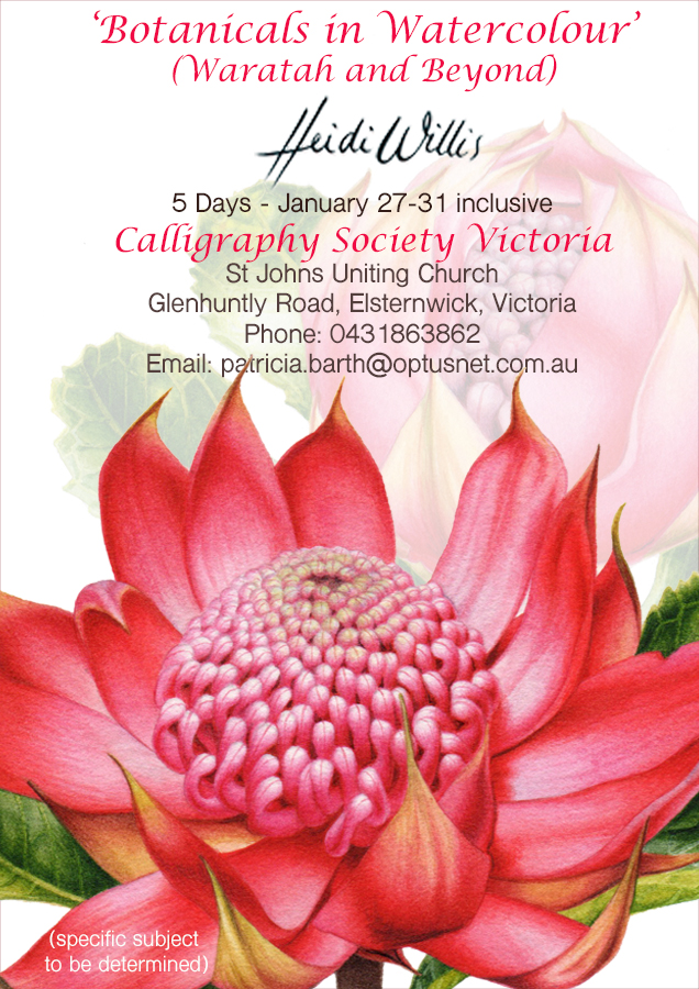 Heidi-Willis_Melbourne Botanical Painting Workshop_watercolour