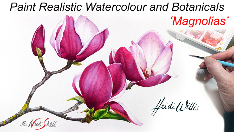 Heidi Willis_Online Painting Tutorial_Magnolias_botanical_watercolor