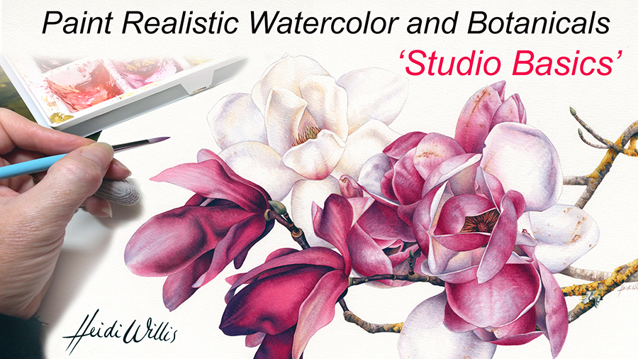 Heidi Willis_Online Tutorial_Watercolor_Watercolour Painting_Botanical