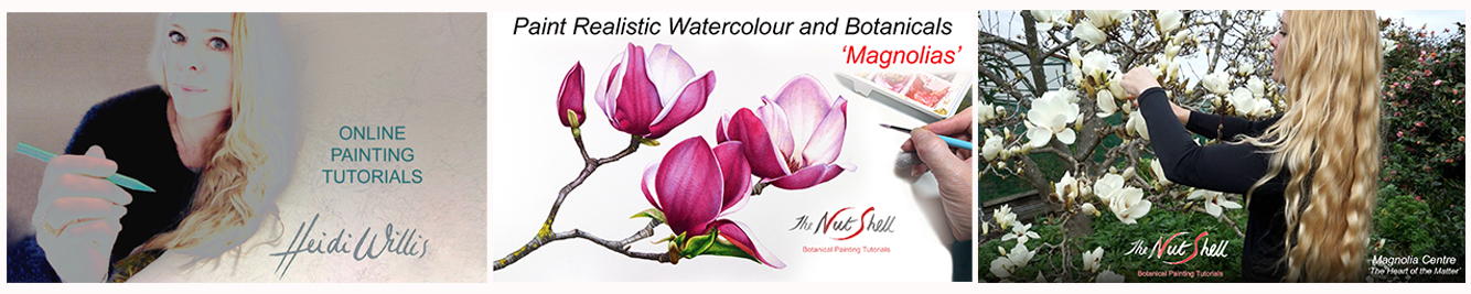 Heidi-Willis_Online-watercolour_botanical-painting_tutorials_magnolias