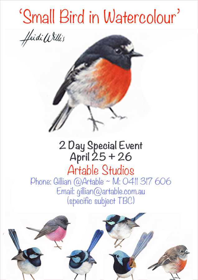 Heidi-Willis_QLD_Bird Painting Workshop_watercolour