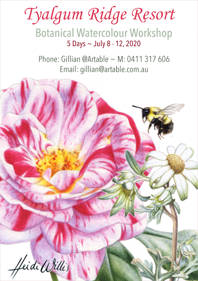 Heidi-Willis_Tyalgum_Botanical Painting Workshop_watercolour