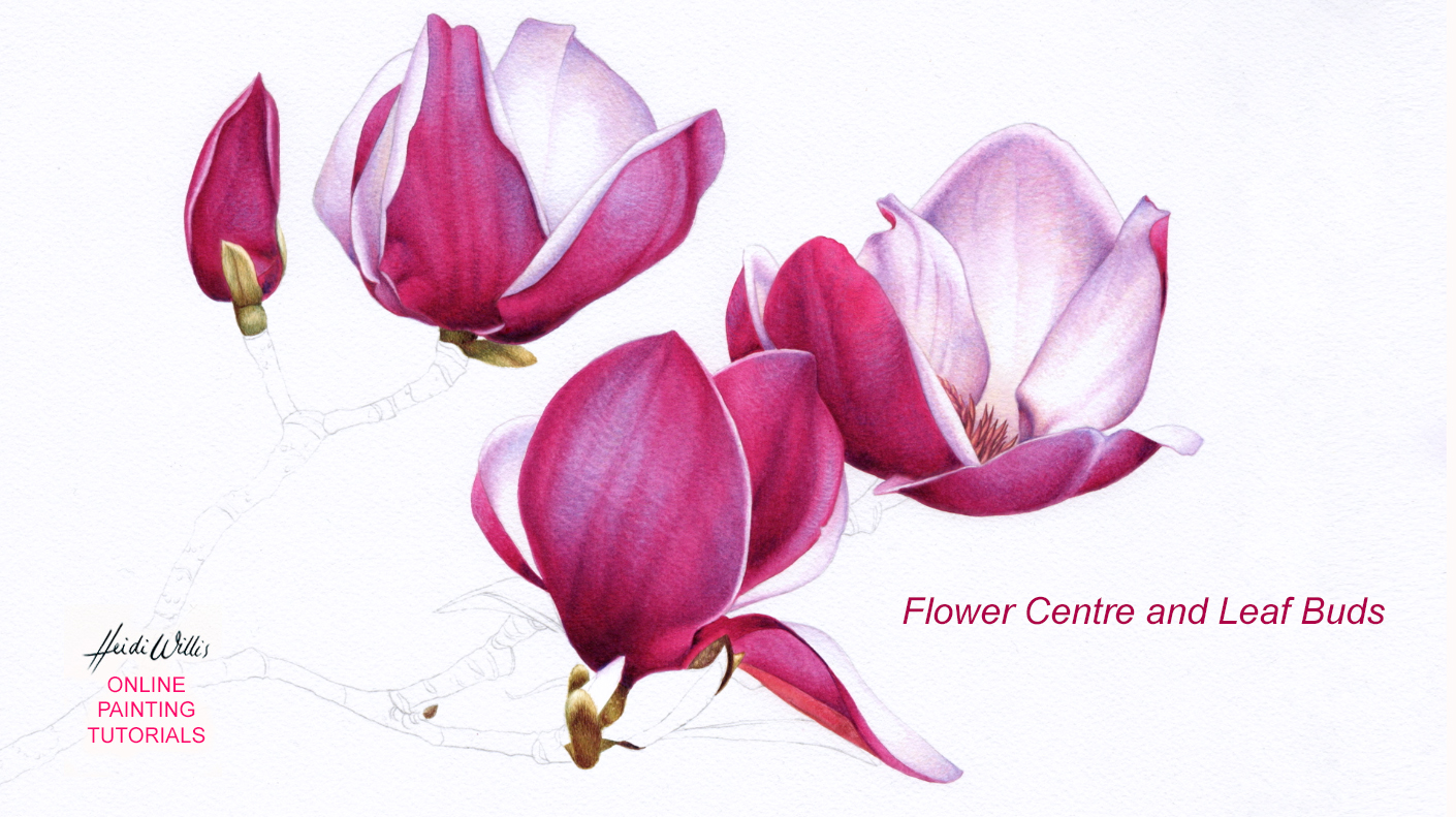 Heidi Willis_online watercolour_botanical painting_tutorial