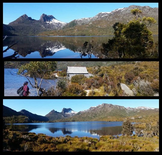 Wine, Wombats and Wanderlust at Cradle Mountain Lodge - Traveling