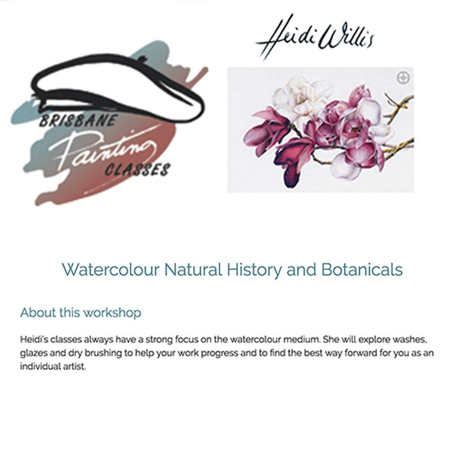 heidi willis_Brisbane_Watercolour_Botanical Art Class