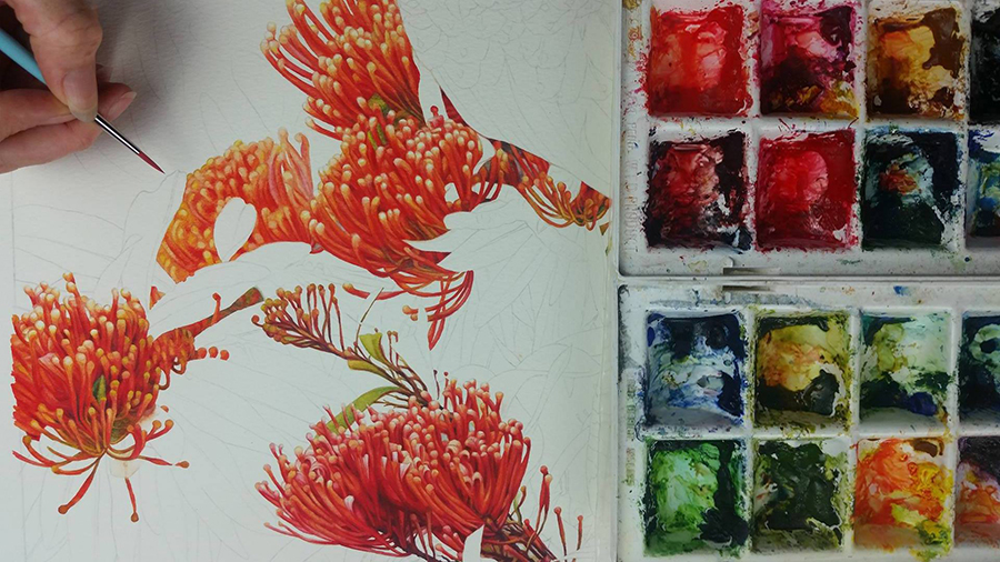 heidi willis_Tree waratah_botanical artist_bird painting