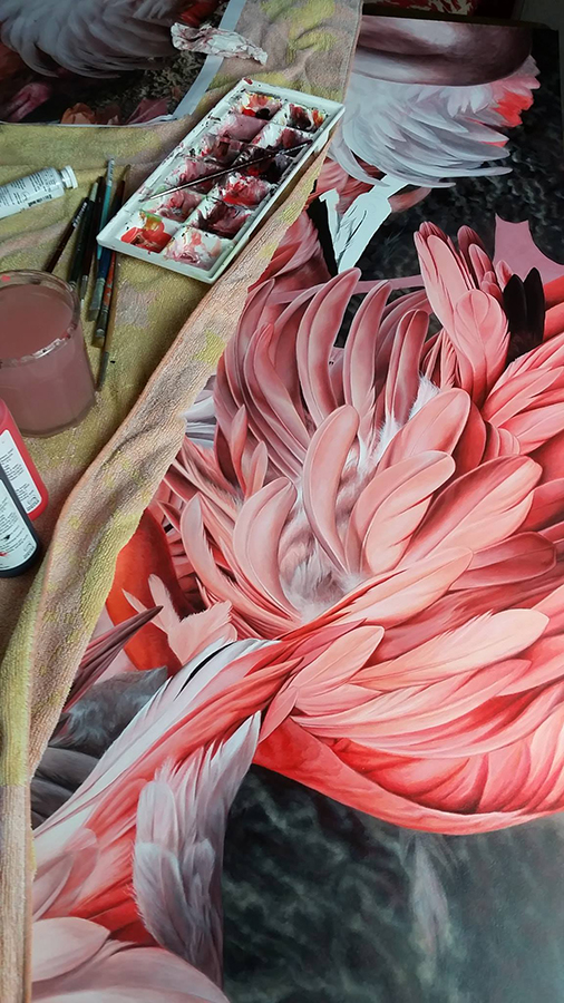 heidi willis_artist_bird painting_flamingo_acrylics_illustration