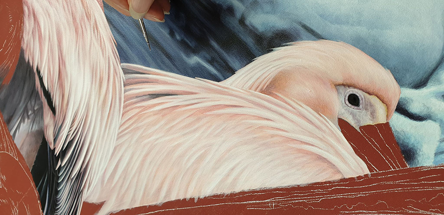 heidi willis_artist_bird painting_pelicans_acrylics