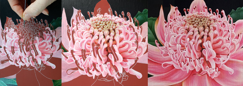 heidi willis_artist_botanical art_natural history_waratah painting