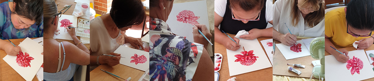 heidi willis_artist_illustrator_Melbourne botanical illustration_art class_waratah_watercolour