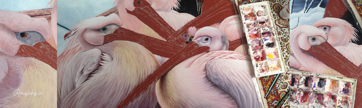 heidi willis_artist_illustrator_pelican painting_acrylics bird art_1