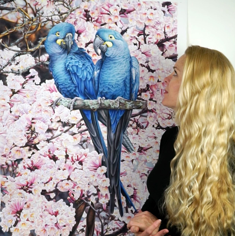 heidi willis_bird artist_watercolour painting_natural history_lears macaw