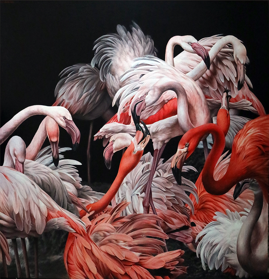 heidi willis_bird painting_artist_flamingos