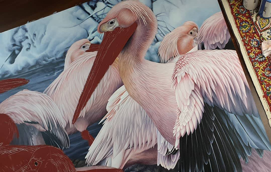heidi willis_bird painting_artist_pelicans_pelikans_acrylics_illustration