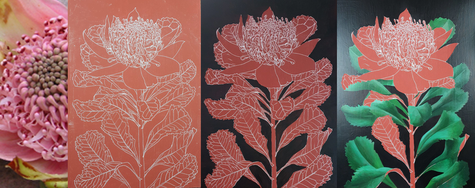 heidi willis_botanical artist_natural history_waratah painting