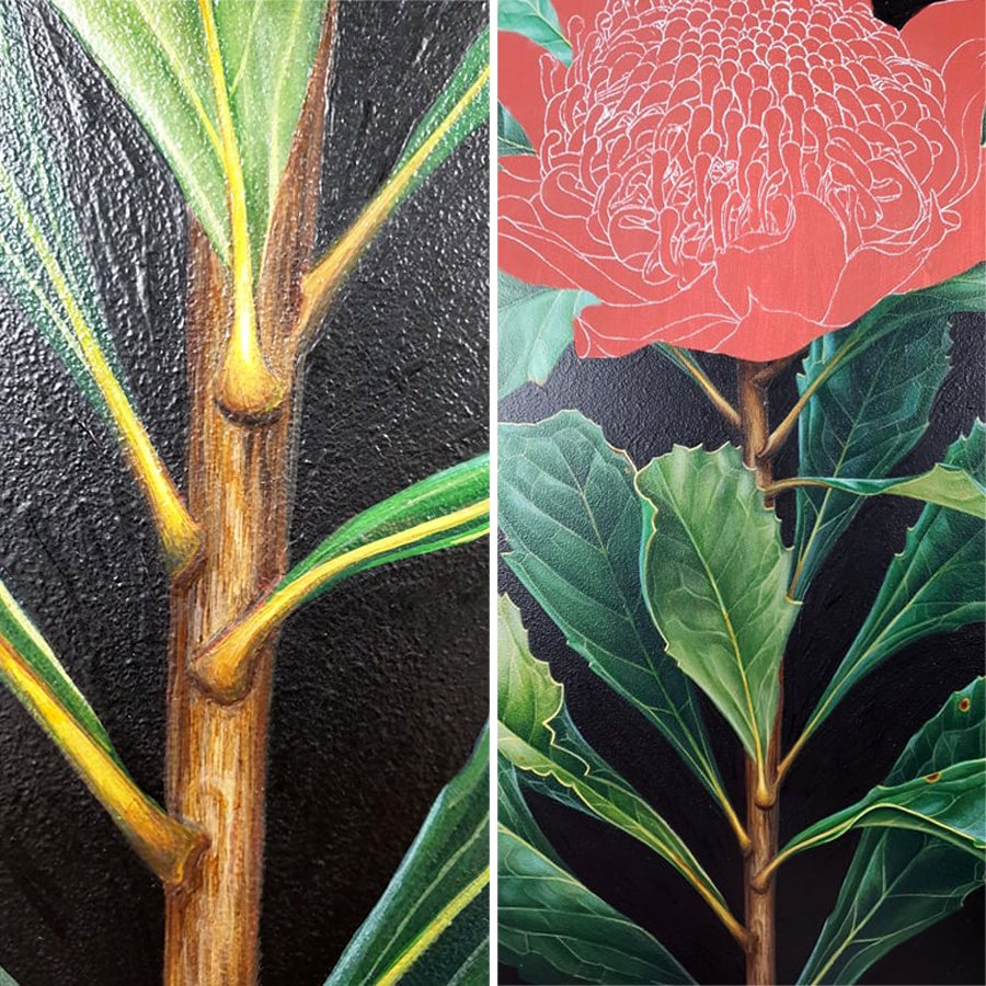 heidi willis_botanical artist_waratah painting_acrylics