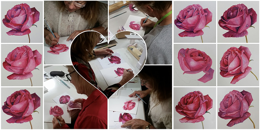 heidi willis_botanical painting_class_teacher_watercolour