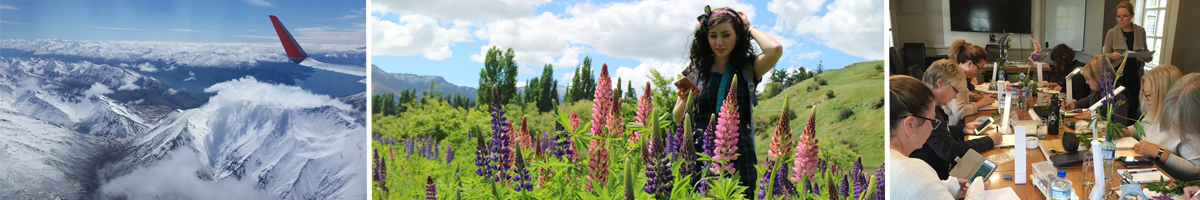 heidi willis_botanical_watercolour_painting class_NZ_lupine