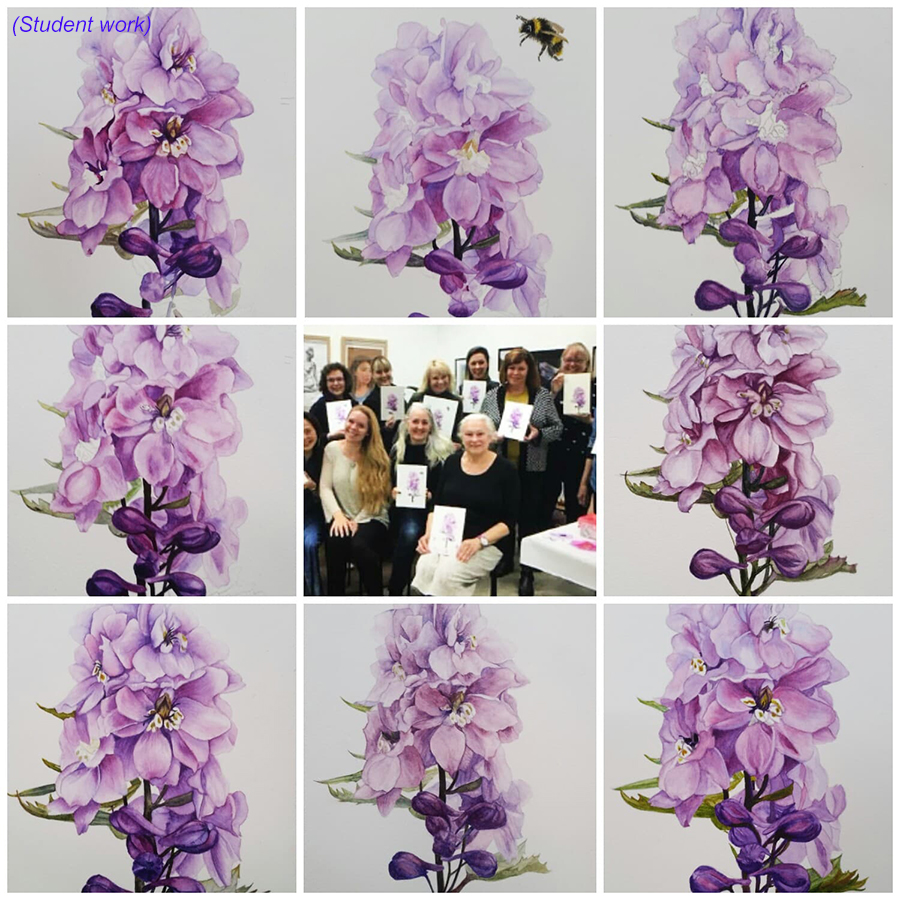 heidi willis_botanical_watercolour_painting workshop_art class