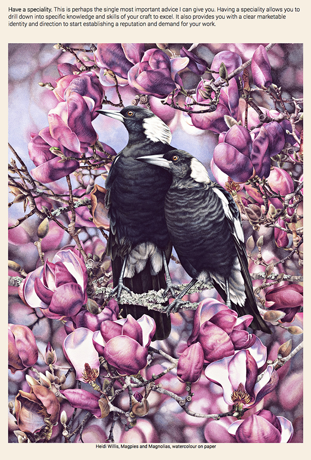 heidi willis_emerging natural history artists_advice_bird art