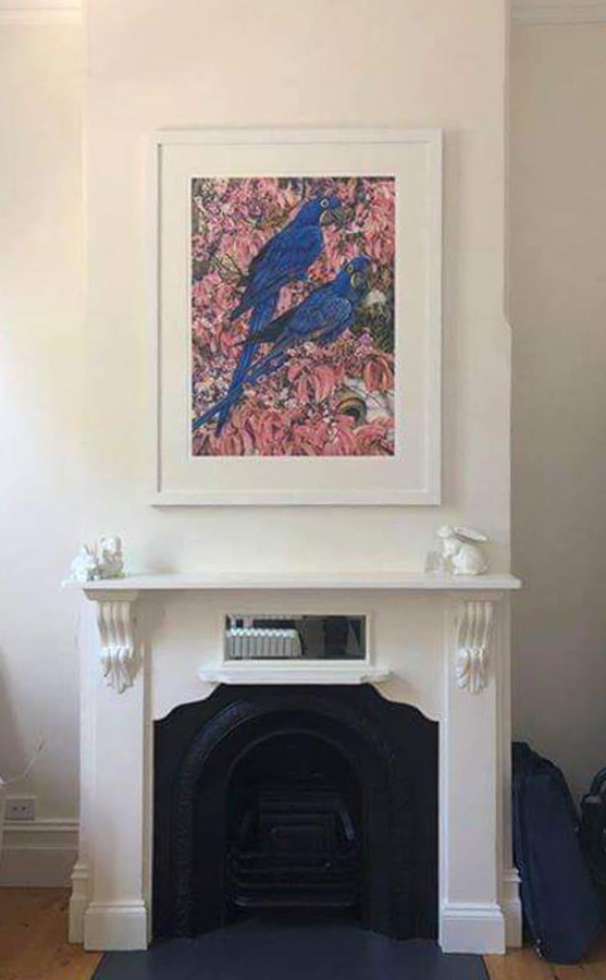 heidi willis_macaw_parrot painting_bird artist