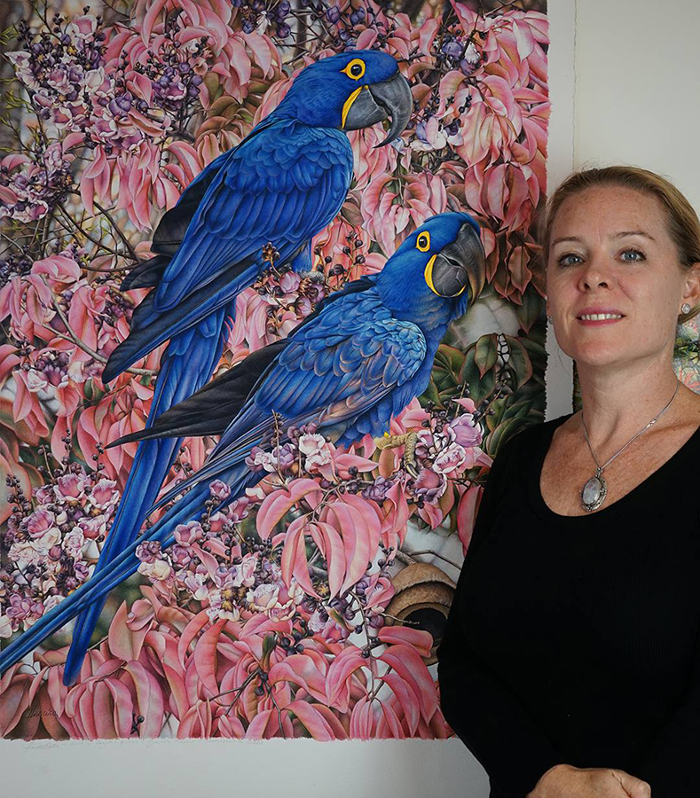 heidi willis_natural history artist_bird_macaw_amazon_watercolour