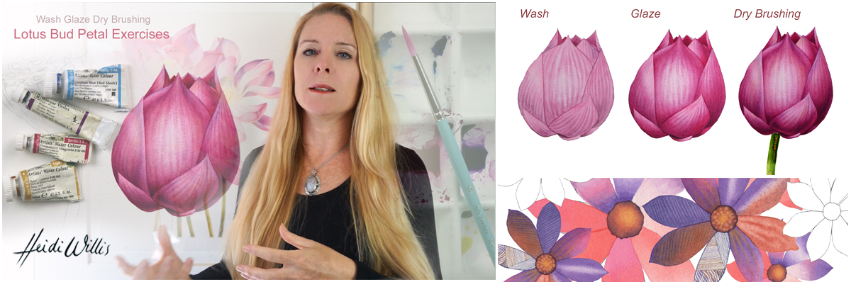 heidi willis_online painting tutorial_botanical_watercolour_lotus