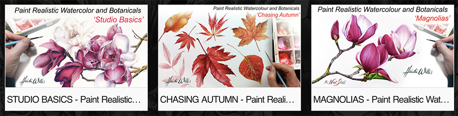 heidi willis_online painting tutorials_botanical_watercolor