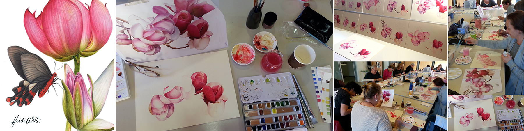 heidi-willis_watercolour_botanical-painting_workshop_masterclass