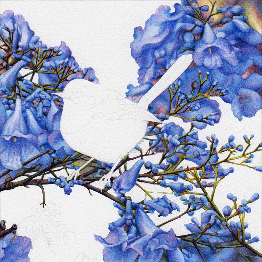 heidi willis_watercolour_jacaranda painting_wren