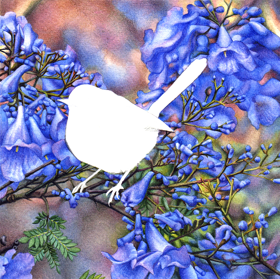 heidi willis_wren_watercolour_jacaranda painting