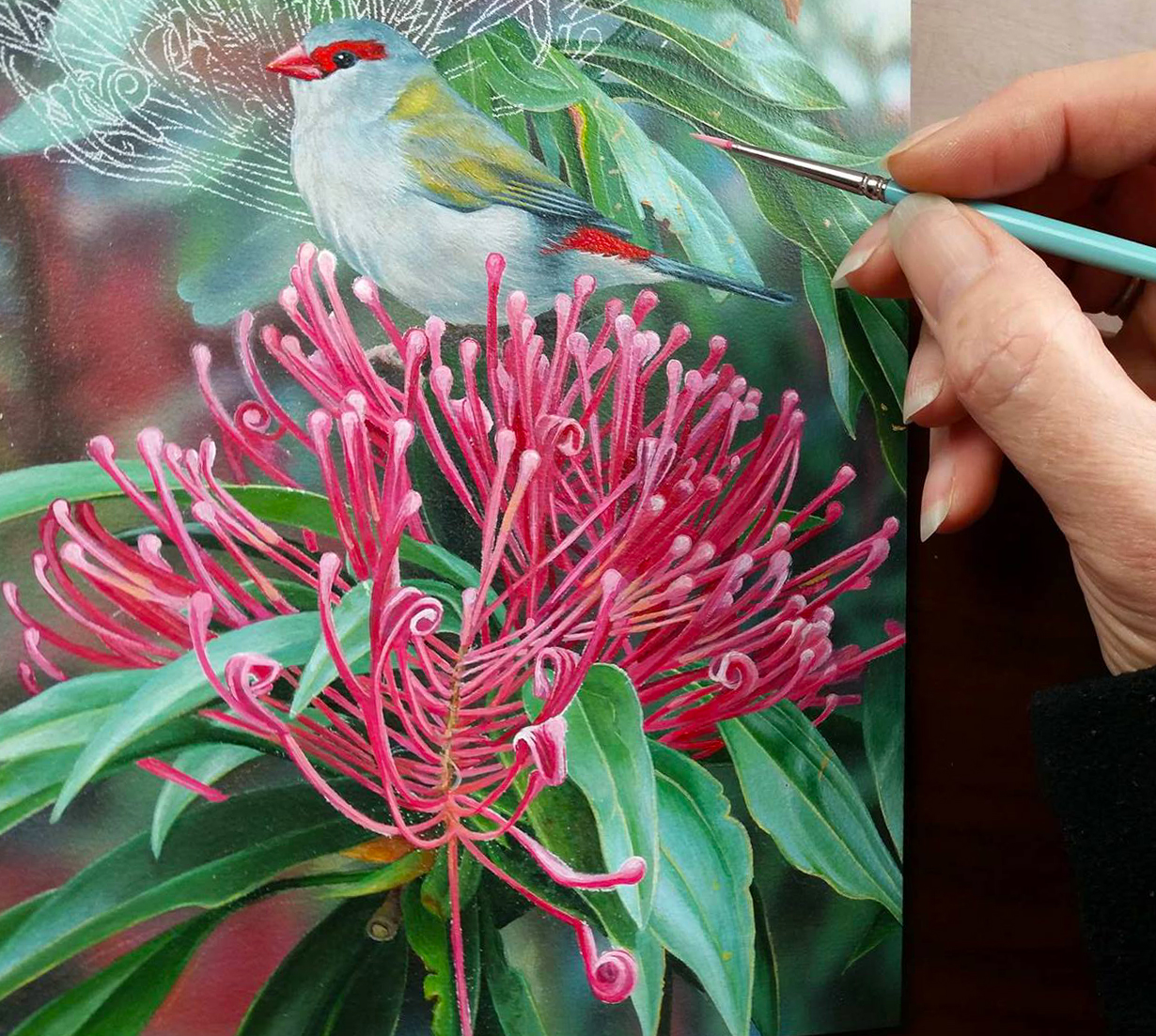 s_heidi willis_bird painting_waratah_red browned finch